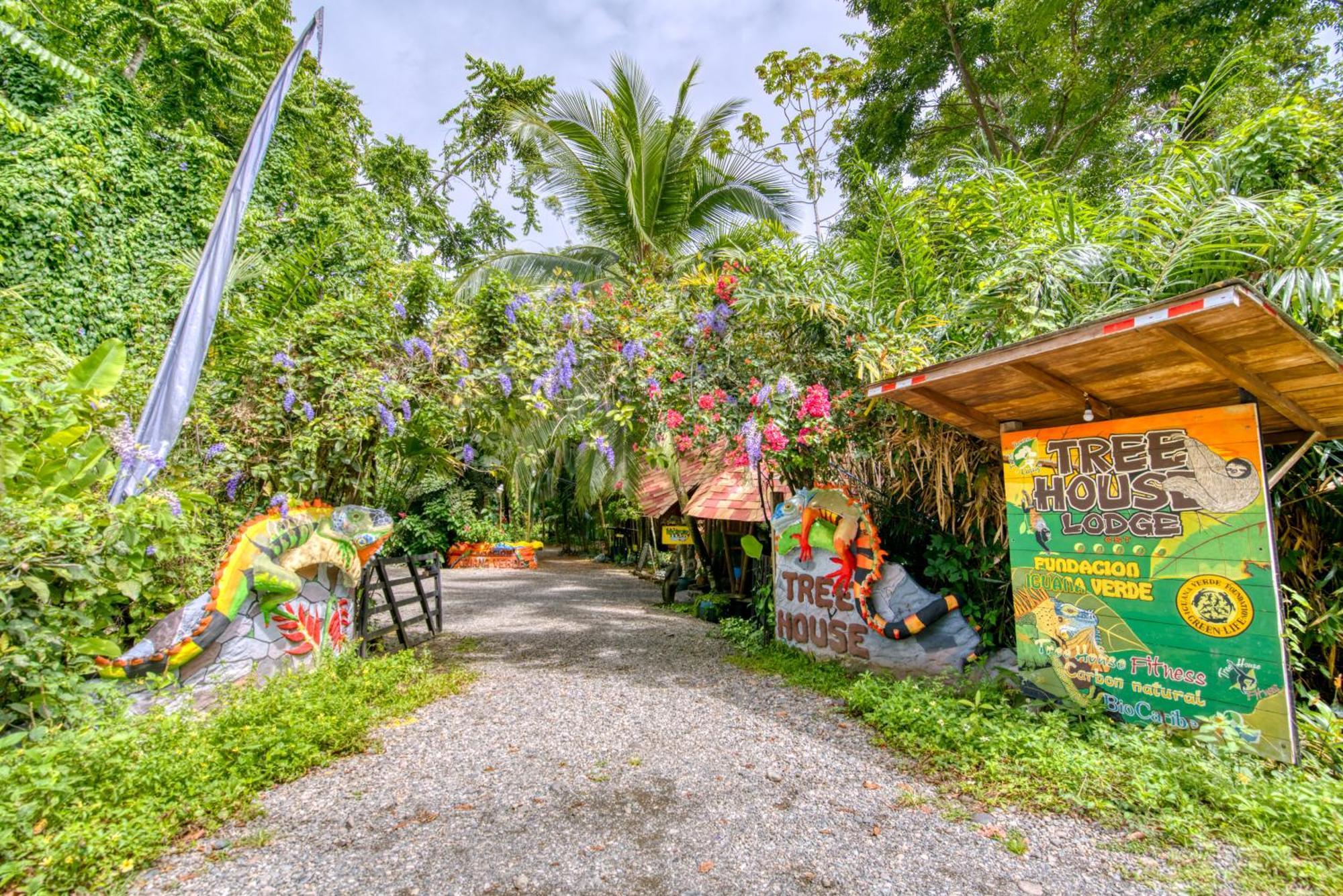 Puerto Viejo de Talamanca Tree House Beachfront Lodge מראה חיצוני תמונה