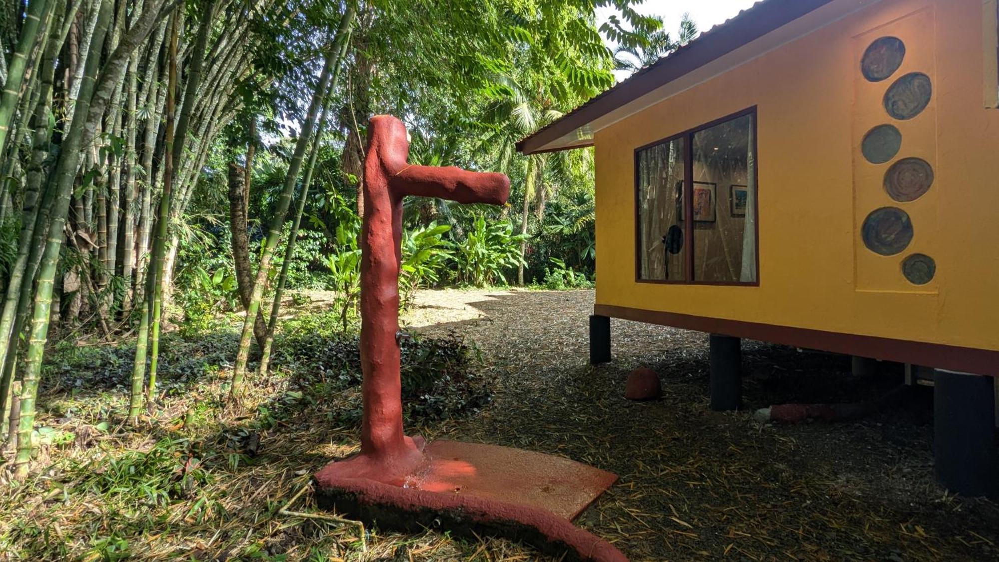 Puerto Viejo de Talamanca Tree House Beachfront Lodge מראה חיצוני תמונה