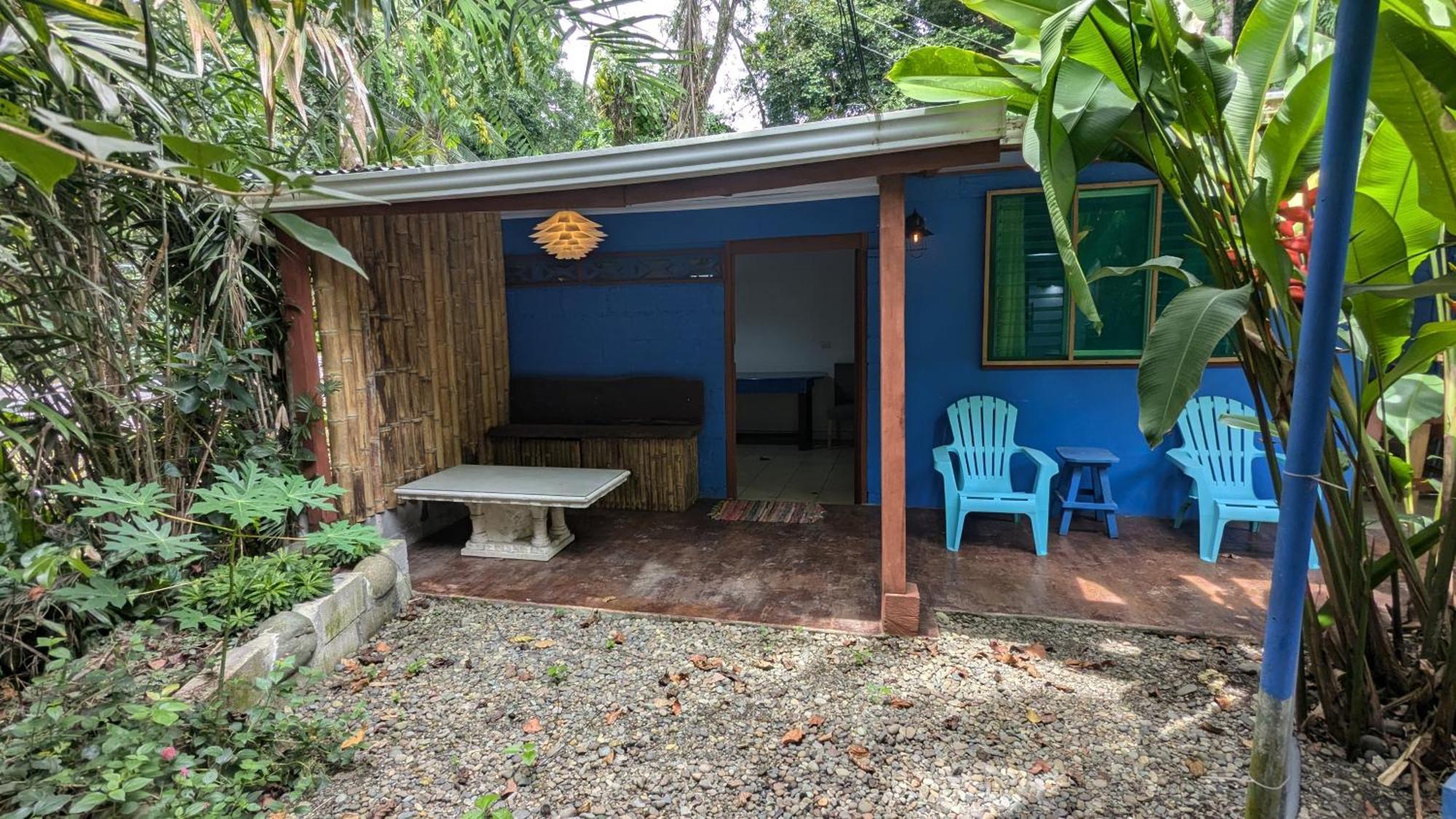 Puerto Viejo de Talamanca Tree House Beachfront Lodge מראה חיצוני תמונה