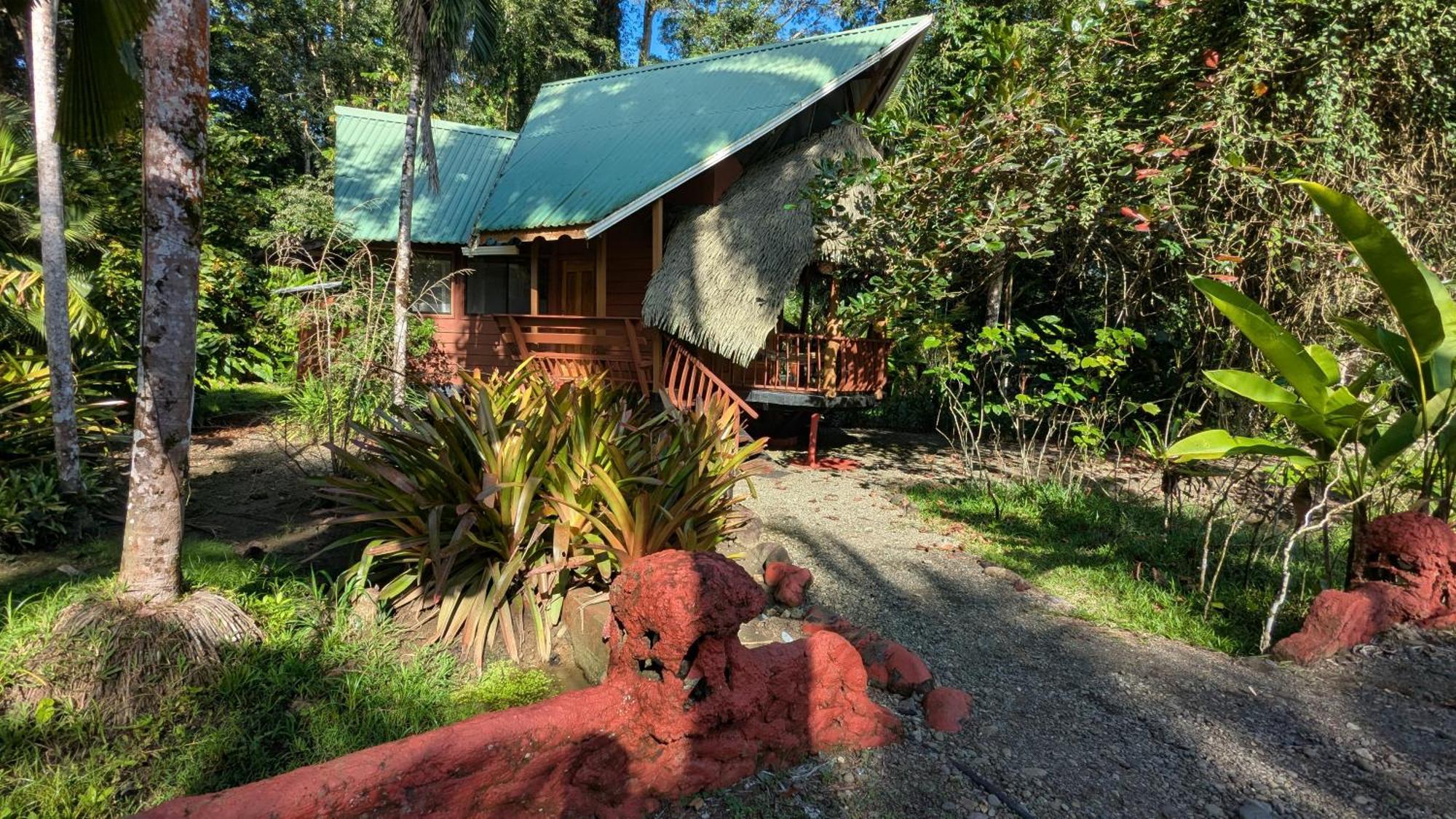 Puerto Viejo de Talamanca Tree House Beachfront Lodge מראה חיצוני תמונה