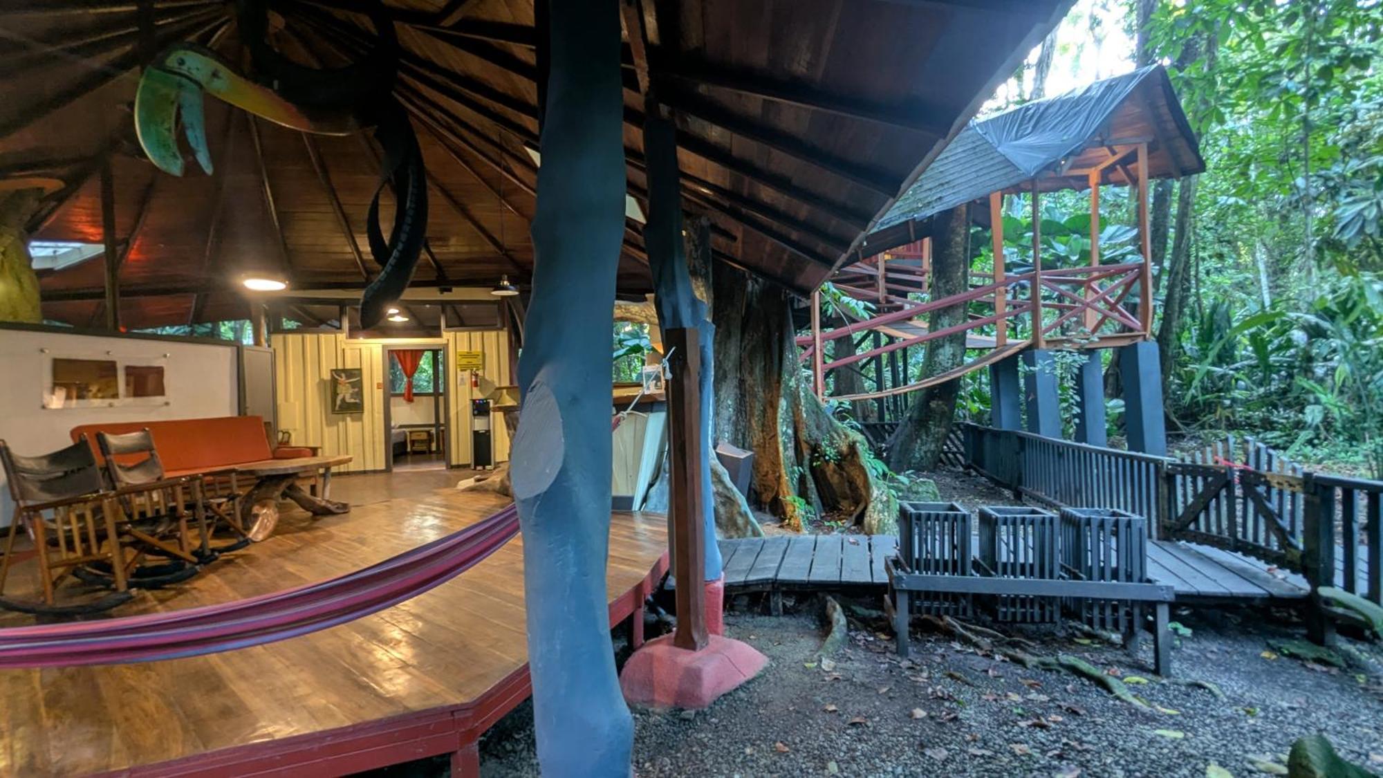 Puerto Viejo de Talamanca Tree House Beachfront Lodge מראה חיצוני תמונה