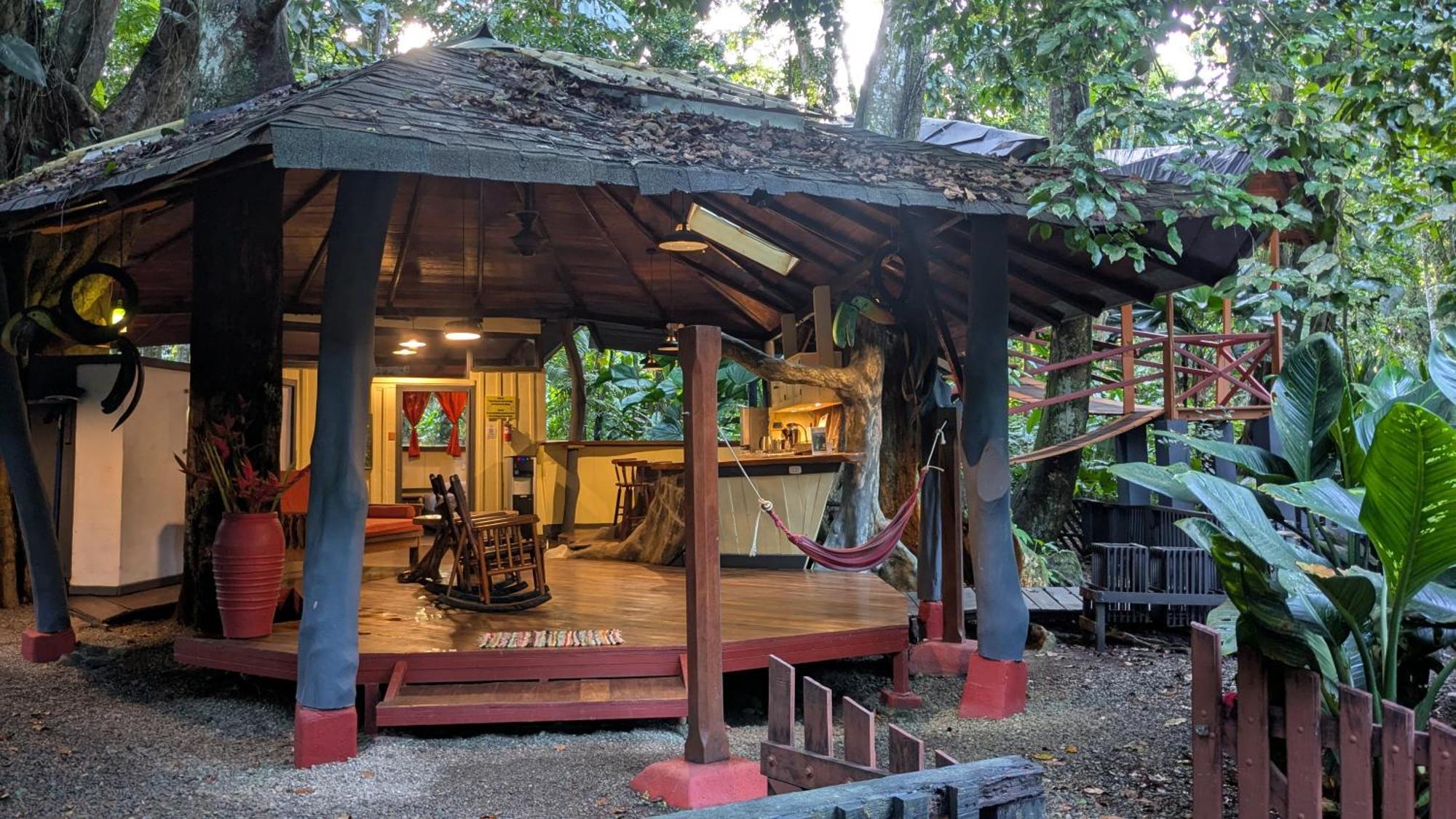 Puerto Viejo de Talamanca Tree House Beachfront Lodge מראה חיצוני תמונה