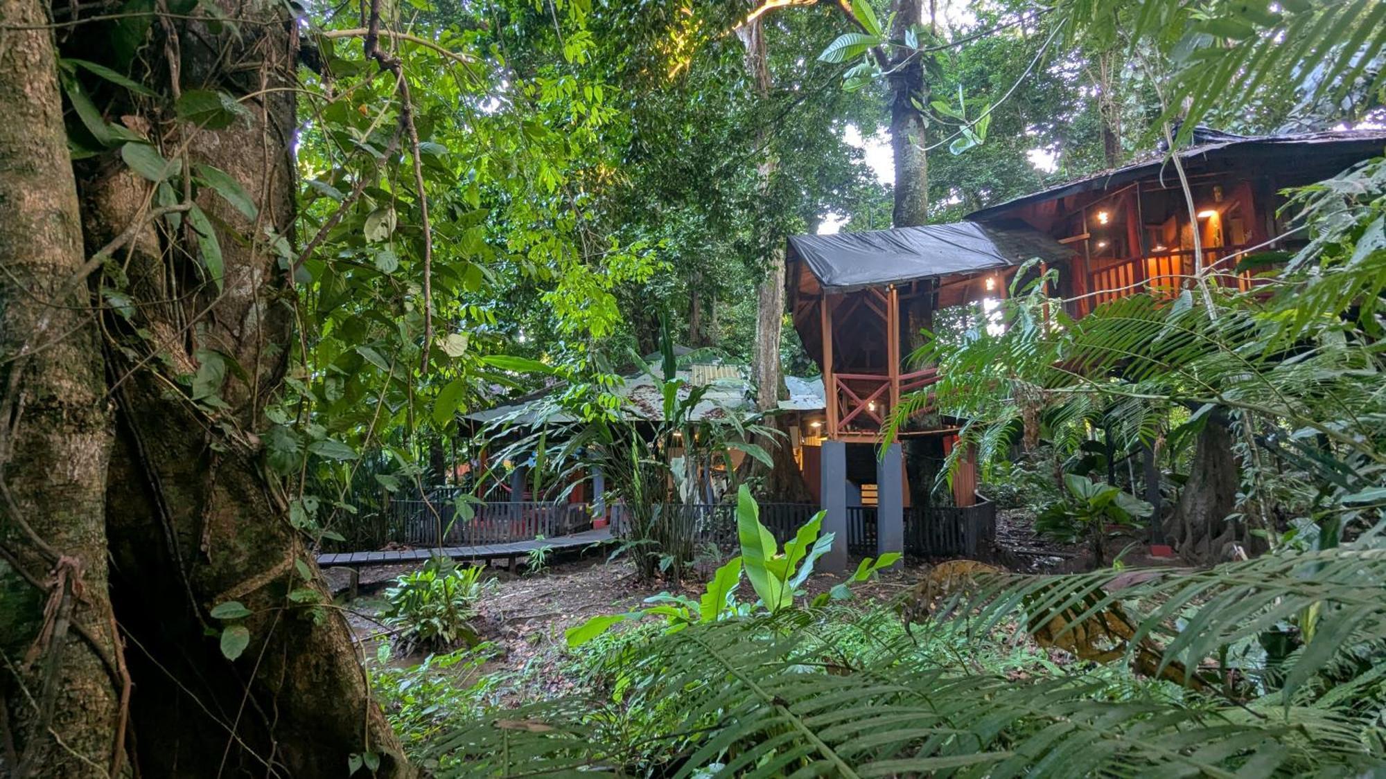 Puerto Viejo de Talamanca Tree House Beachfront Lodge מראה חיצוני תמונה