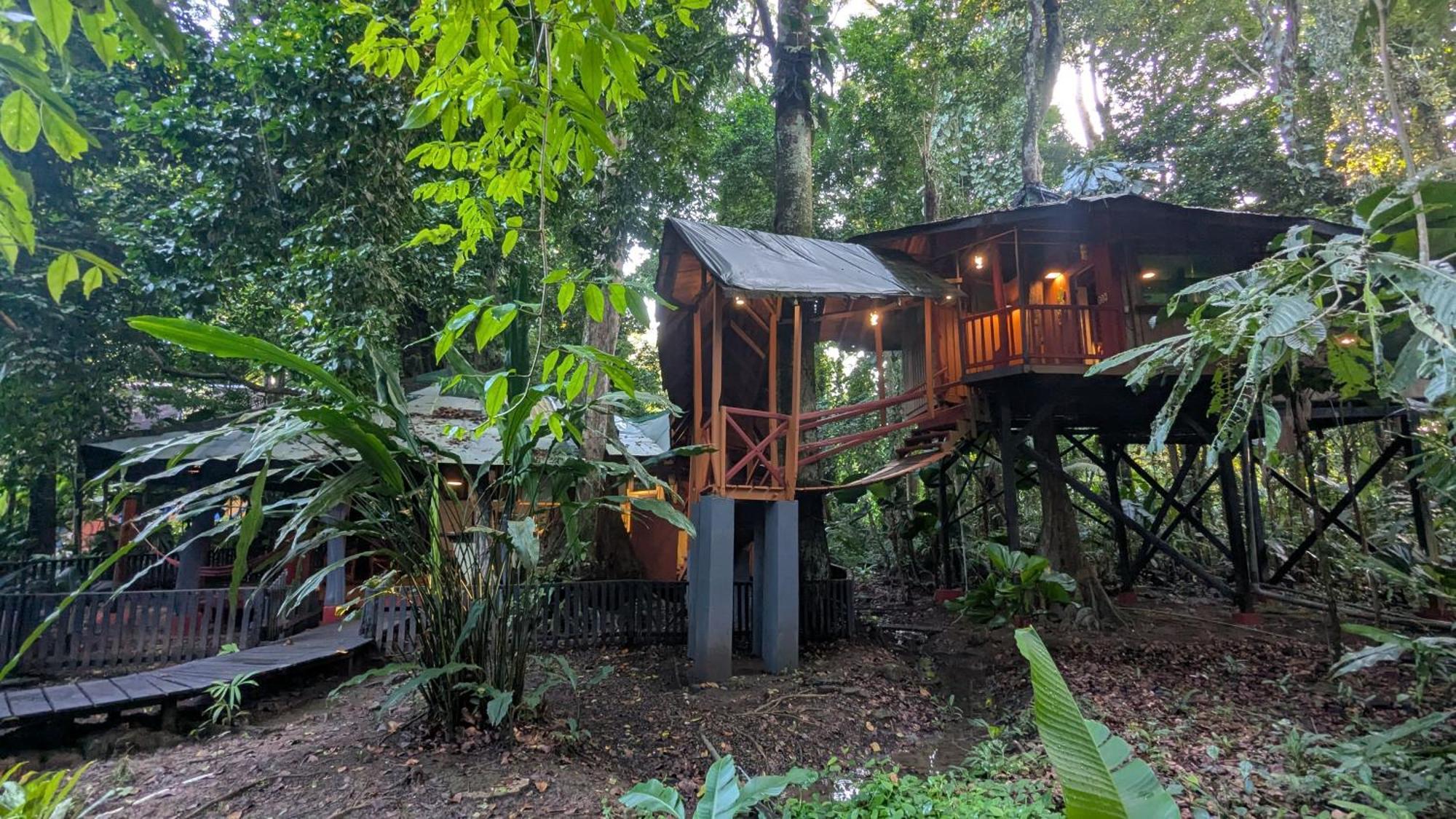 Puerto Viejo de Talamanca Tree House Beachfront Lodge מראה חיצוני תמונה