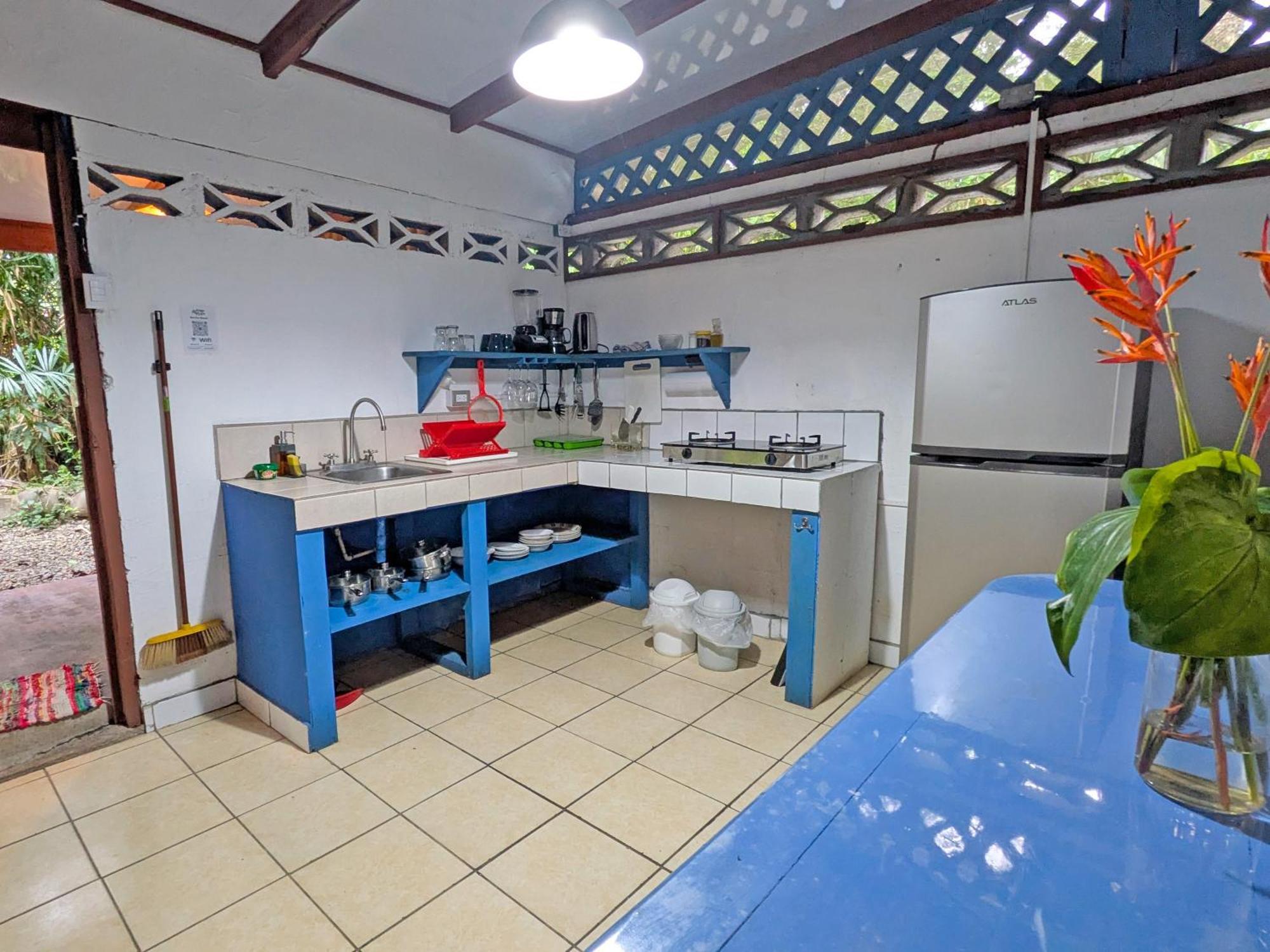 Puerto Viejo de Talamanca Tree House Beachfront Lodge מראה חיצוני תמונה